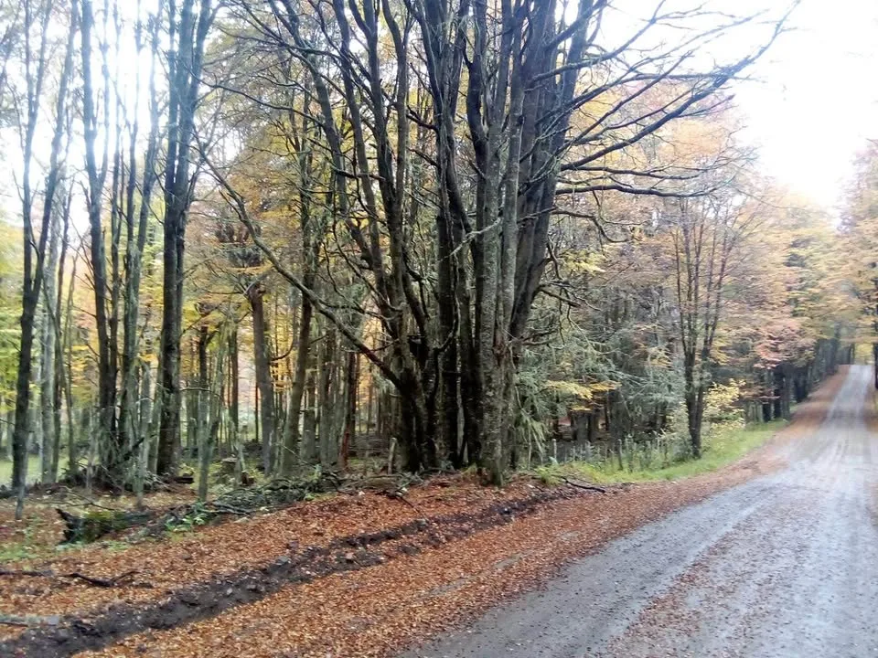 Exterior view of a land parcel for sale in Coyhaique