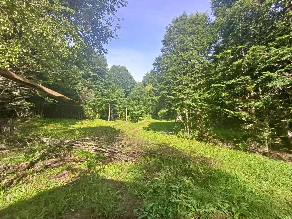 Exterior view of a land parcel in Coyhaique, Patagonia