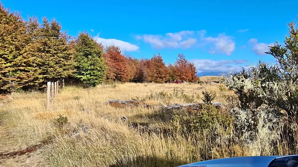 Exterior view of a land parcel near Coyhaique