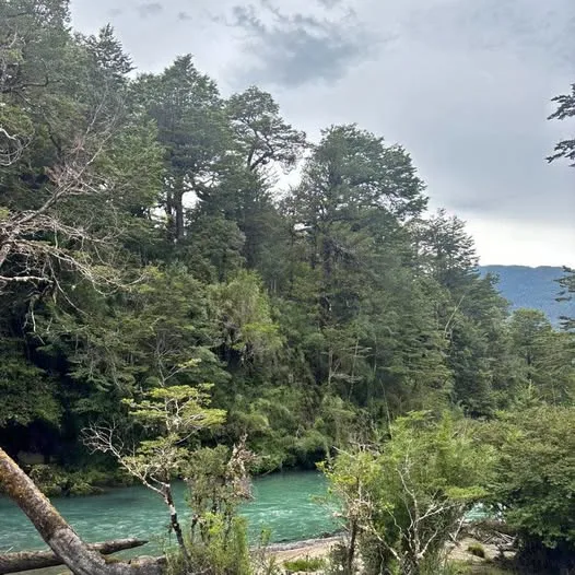 Exterior view of a land parcel in Puerto Cisnes, Patagonia