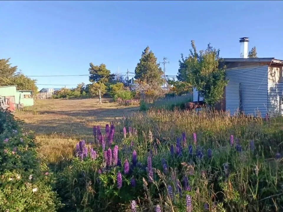 Exterior view of 1000 square meter land in Barranco Amarillo, Villa Ohiggins