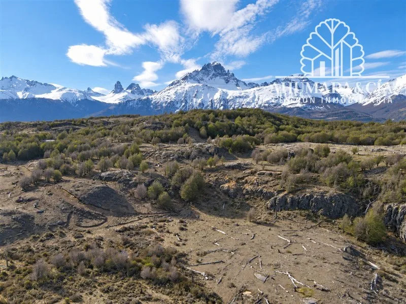 Panoramic view of the 4-hectare plot with Cerro Castillo in the background