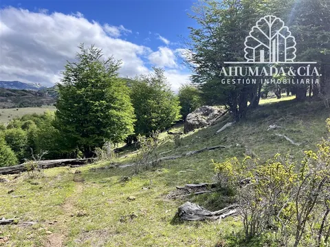 Gentle slope on the property with rocky outcrops and flora