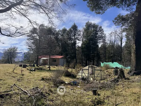 View of the Murta River from the property