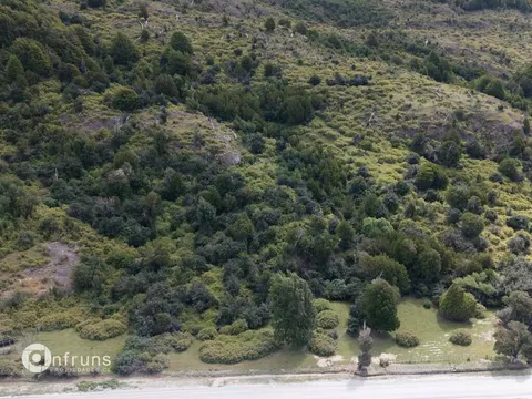 Tree line along the property's lake shore of the parcel