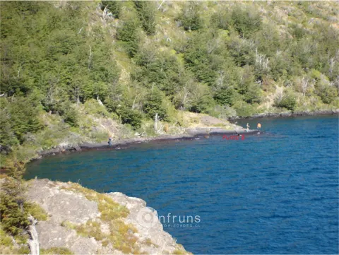 Person fishing from the lake shore