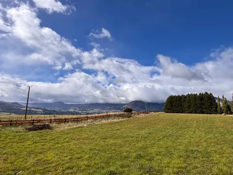 View of neighboring plots and shared green spaces