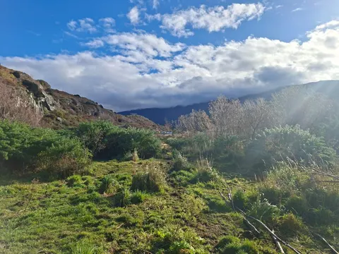Trees and bushes on the land parcel in Chilean Patagonia