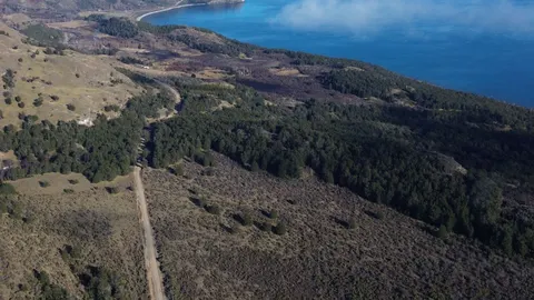 Open parcel with native grass and lake backdrop in Puerto Guadal