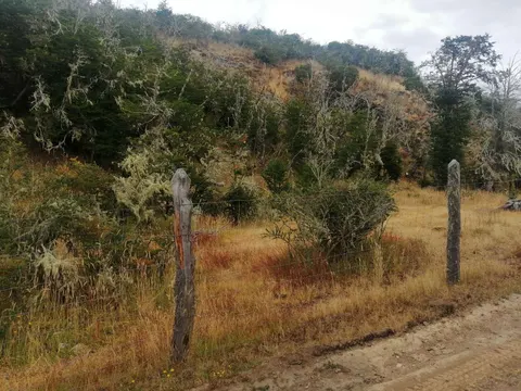 Flat area suitable for construction on the Los Maquis parcel
