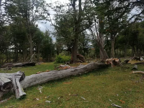 Access road to the land parcel in Los Maquis