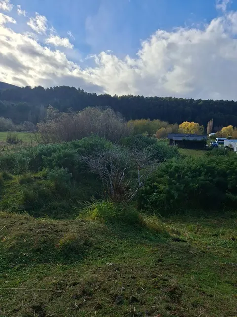 Open field area on the 5000 m2 plot