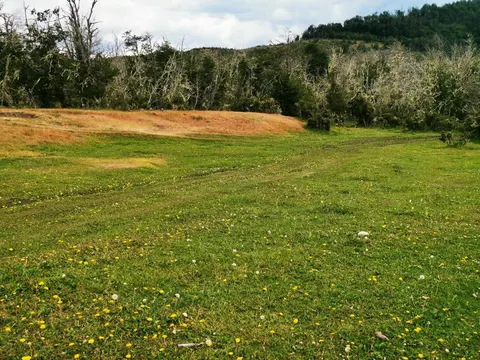 Open field section of the land parcel in Puerto Guadal