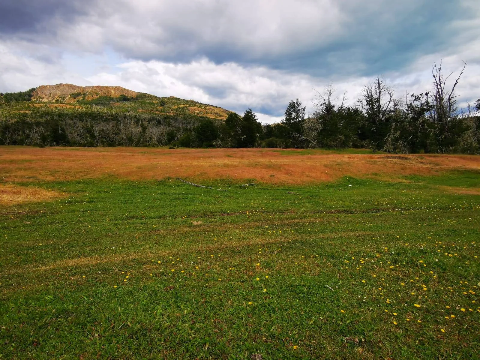 Exterior view of large land parcel with natural springs in Los Maquis