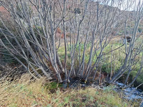 Panoramic view of the landscape surrounding the parcel