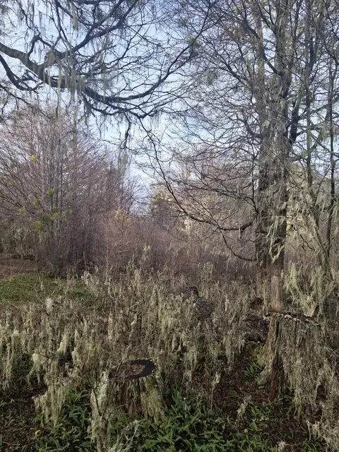 View of the surrounding hills from the parcel