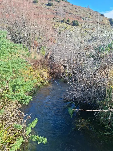 Landscape of the parcel with native vegetation in Patagonia
