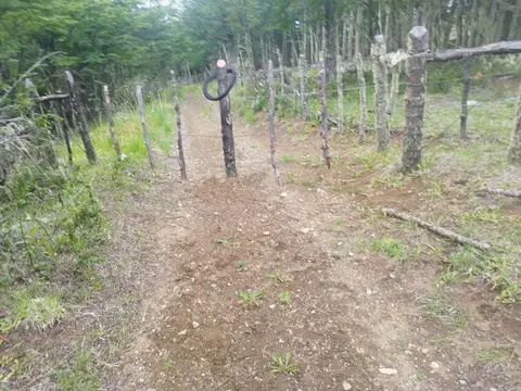 Pathway through the property in Patagonia