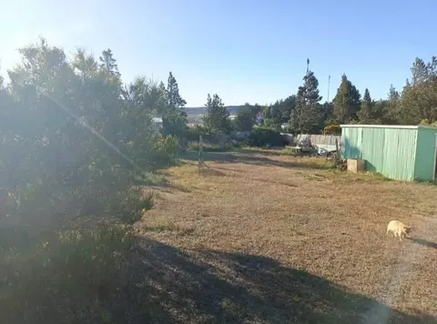 View of the land with trees and sky