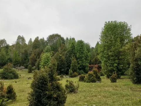 Wide angle view of the parcel's flat area