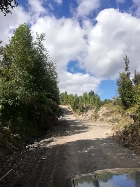 Vegetation and terrain details of the Puerto Guadal parcel