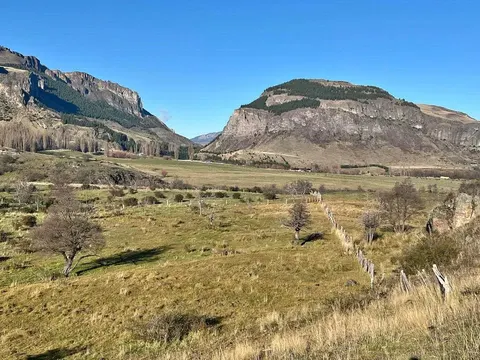 Forest view on Villa Jara parcel in Caleta Tortel