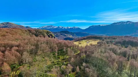 Panoramic view of a 5000 m2 land lot near Ñirehuao in Patagonia