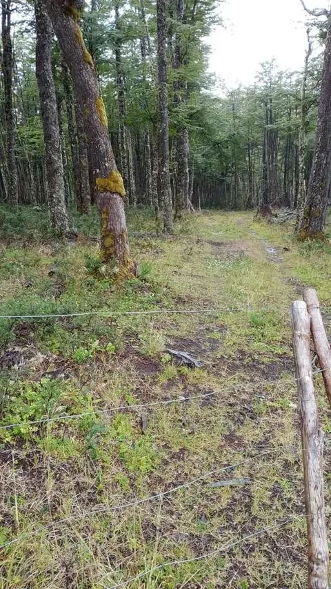 Parcel with a dirt road access in rural Patagonia