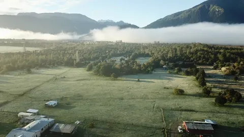 Open field on the parcel with native grass