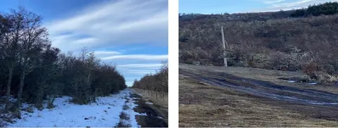 Road access point to the parcel from the main path