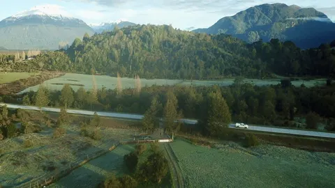 Tree line along one boundary of the parcel